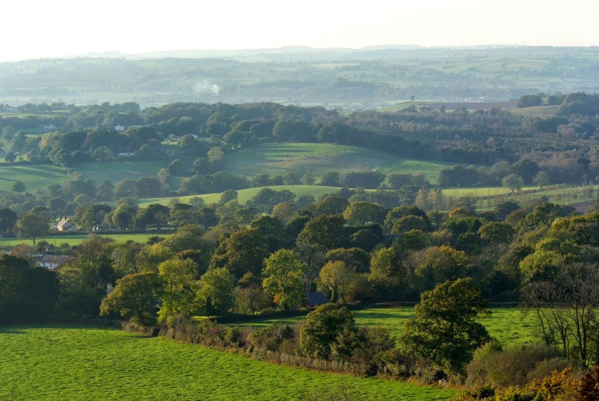 Typical view of the Blackdown Hills.