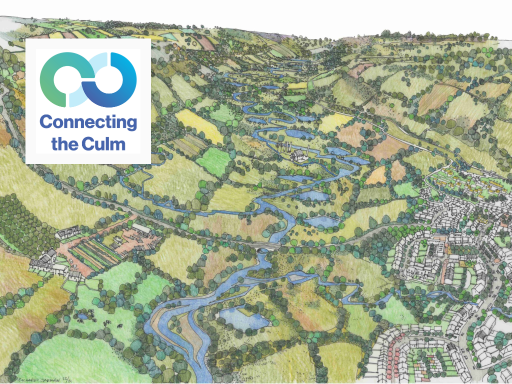 Connecting the Culm image