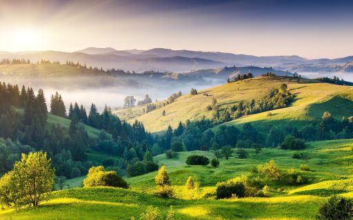 morning mist across a rolling hills image