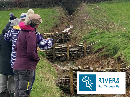 volunteers stood beside a river looking at 3 leaky dams