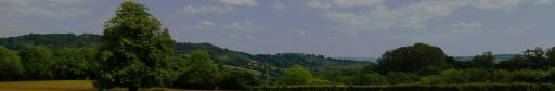 trees and hills image on a bright day with blue sky
