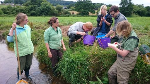 group of adults beside a river bank, crayfish surveying