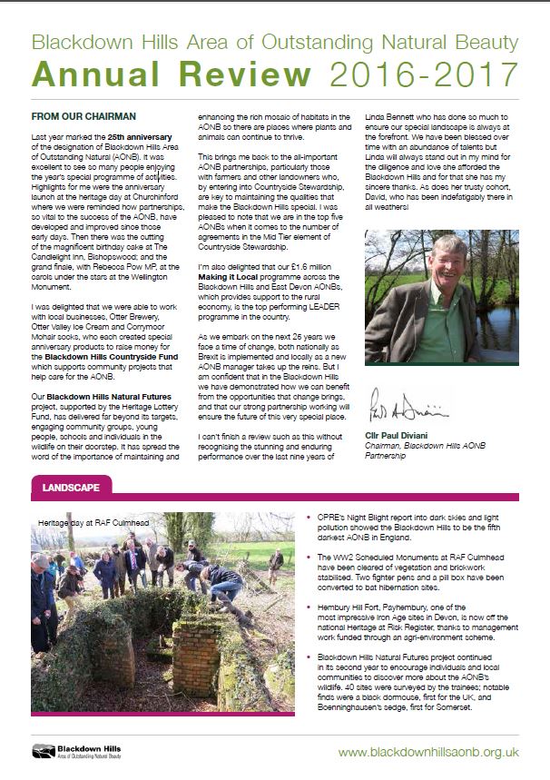 Annual review 2016-2017