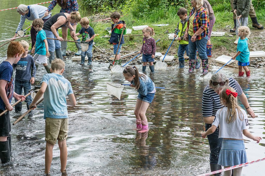 group of children and adults river dipping in the river