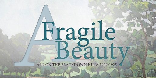 a fragile beauty poster