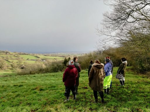 group of adults looking at the view at Folly Farm