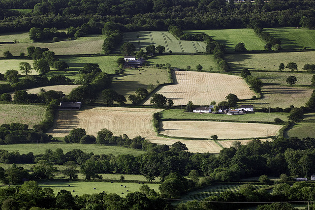 Fields and field boundaries