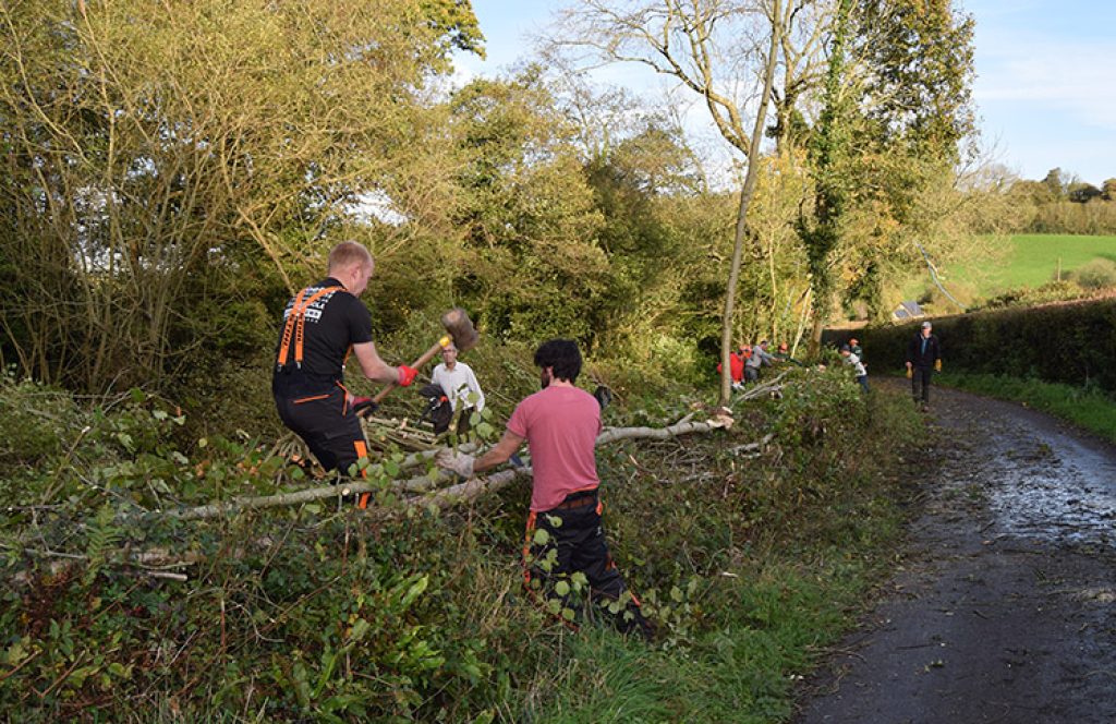 Hedgelaying. Photo: Blackdown HIlls Hedge Association