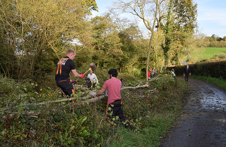 Hedgelaying. Photo: Blackdown HIlls Hedge Association
