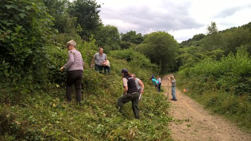 greendays volunteers working on some hedgerow