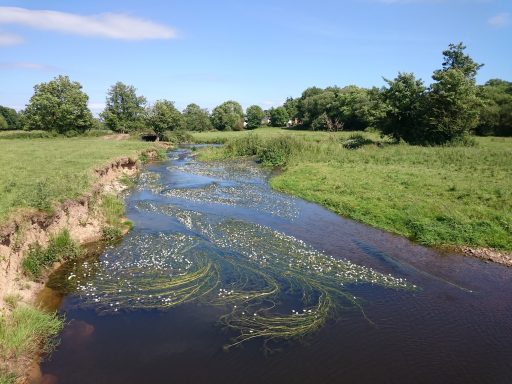 River Culm