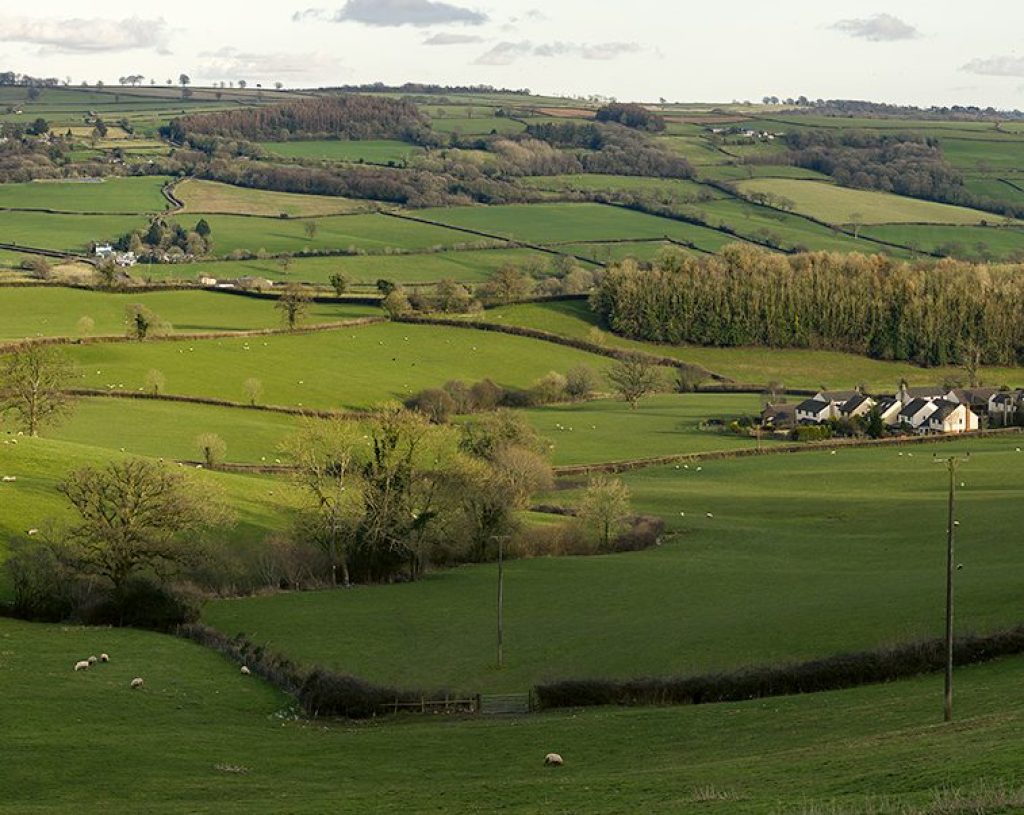 View of fields, hedgerows and buildings with the sun low in the sky