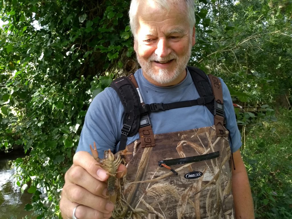 White-clawed crayfish