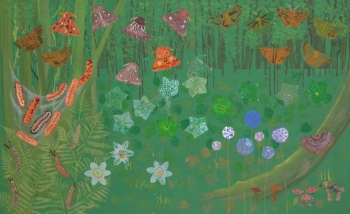 woodland postcard designed by children