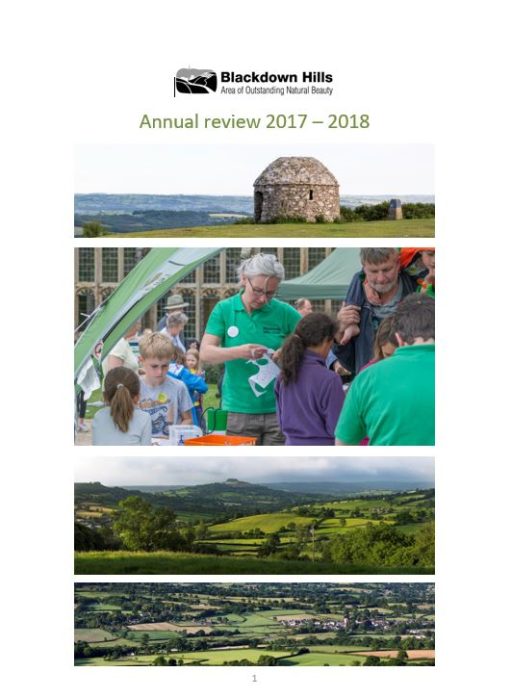 Annual review 2017-2018