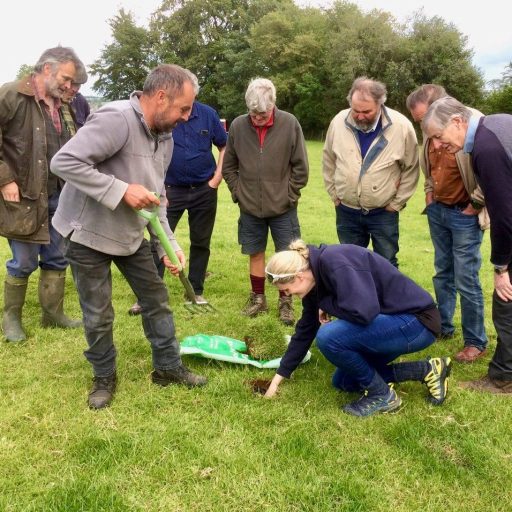 Farmers doing soil tests for earthworm activity. Photo: Gavin Saunders