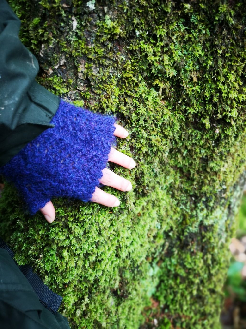 A hand in a fingerless mitten feeling the moss on a tree