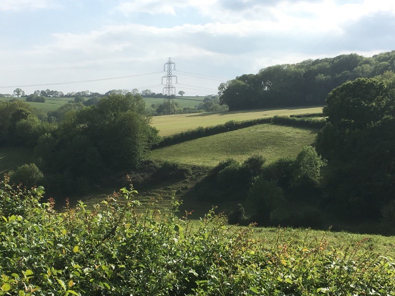 A countryside scene with fields, trees and hedgerows with a pilon on the skyline.