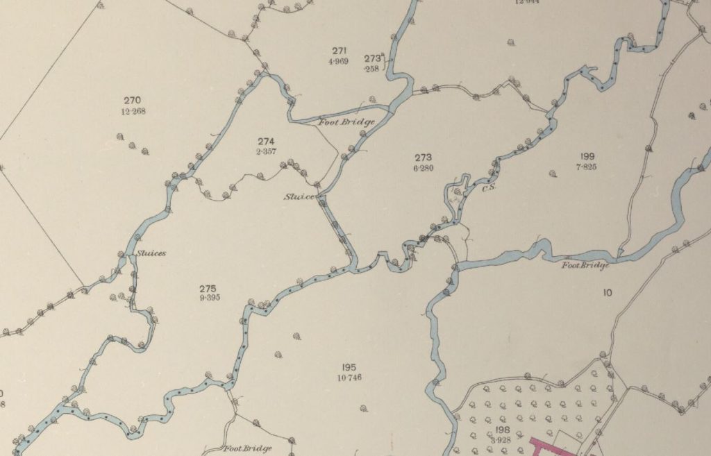 1889 OS map showing a typical system of braided channels