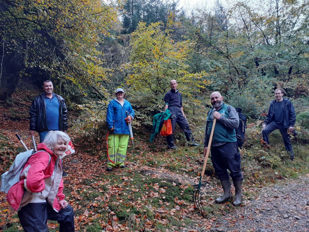 Volunteers gorse clearing