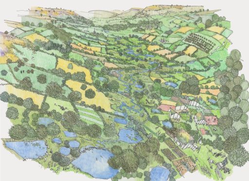 Richard Carman - illustration of a vision for the River Culm