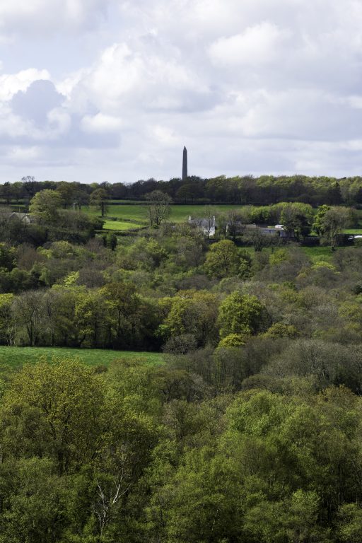 A view of of wellington monument from clayhidon turbary.