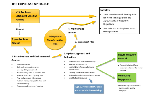 triple-axe-diagram