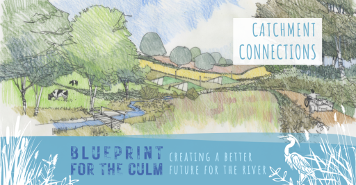 Catchment connections sketch of fields, cows and tractor