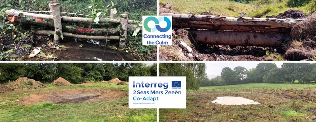 Scrapes and leaky dams built as part of the Connecting the Culm project