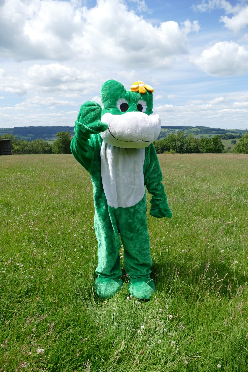 Person in a frog costume waving stood in a field of grass