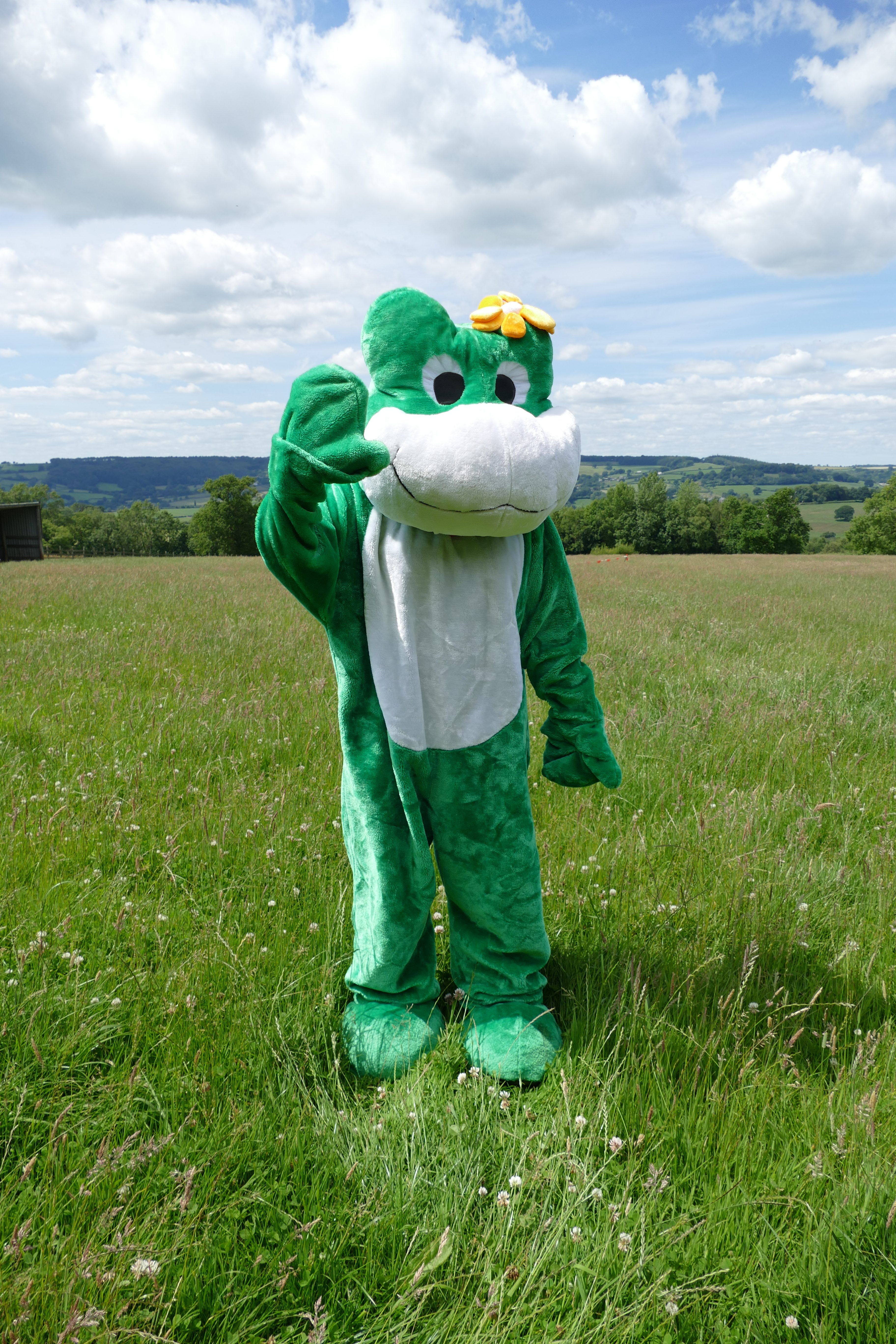 Person in a frog costume waving stood in a field of grass