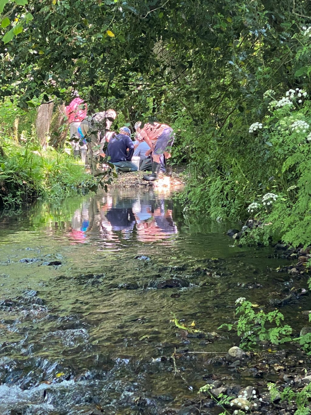 A group of people examining a stream