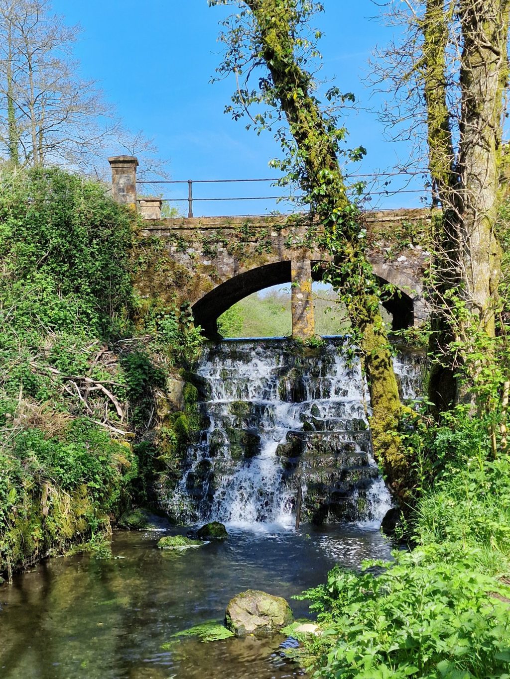 Otterhead Lakes bridge with waterfall