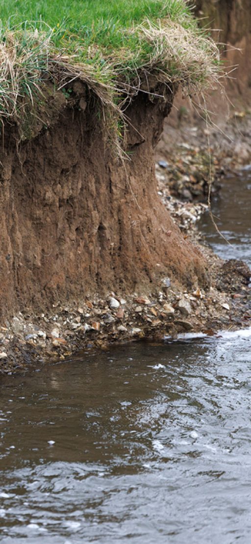 eroded soil bank beside the river