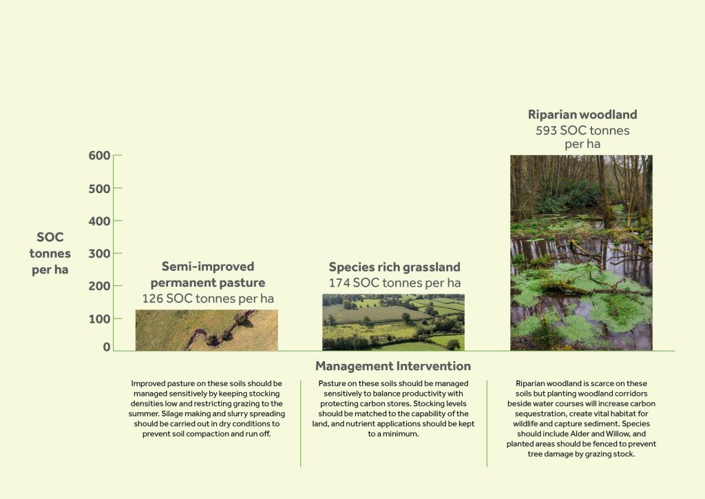 Semi-improved permanent pasture. 
126 SOC tonnes per ha.
Improved pasture on these soils should be managed sensitively by keeping stocking densities levels low and restricting grazing to the summer. Silage making and slurry spreading should be carried out in dry conditions to prevent soil compaction and run off.
Species rich grassland. 
174 SOC tonnes per ha.
Pasture on these soils should be managed sensitively to balance productivity with protecting carbon stores. Stocking levels should be matched to the capability of the land, and nutrient application should be kept to a minimum.
Riparian woodland.
593 SOC tonnes per ha.