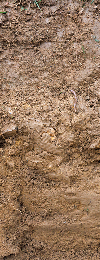 Light soil