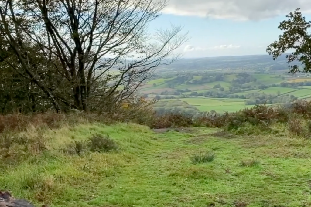 A view across a lumpy field with Blackdown Hills landscape in the background