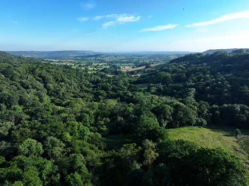 ariel photo over Wolford woodlands