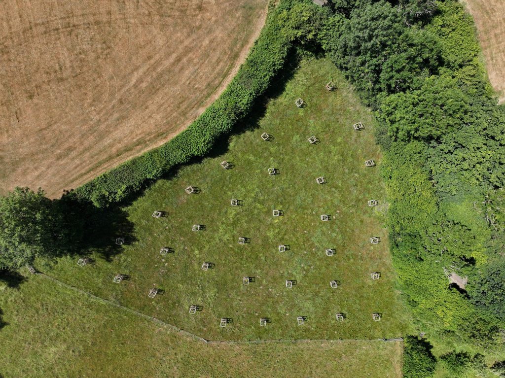 aerial picture of new trees in a field with tree guards around each of them