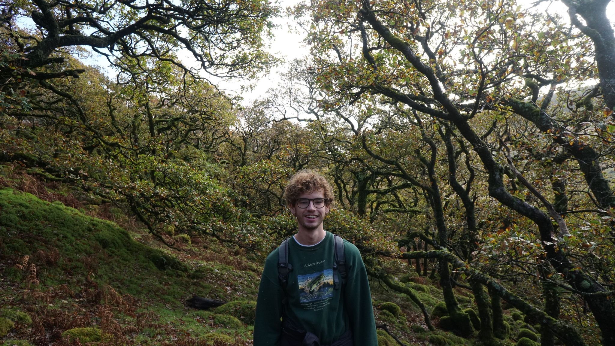 Harry Shaw photo for website