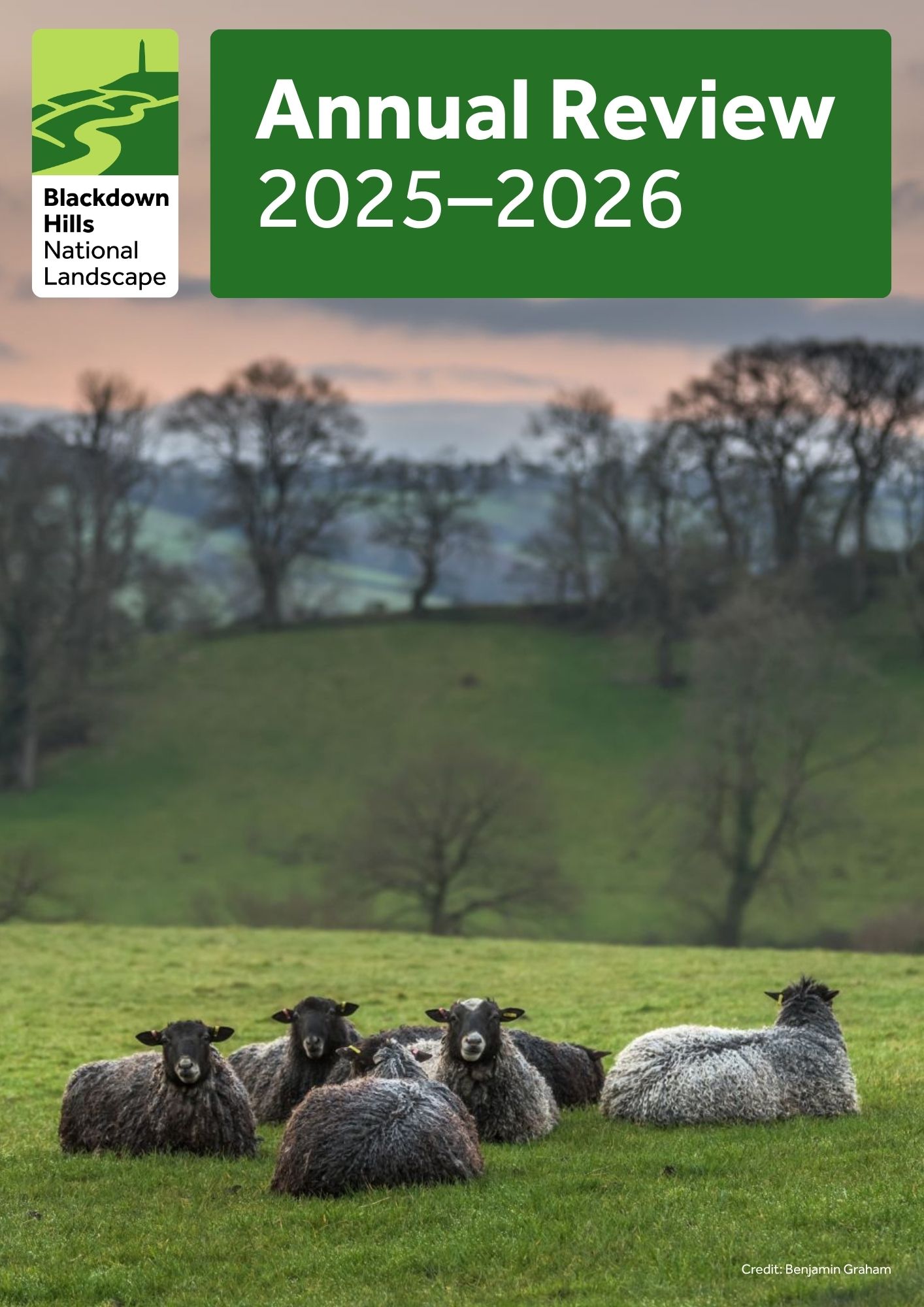 Annual Review front page show sheep sat down in a field